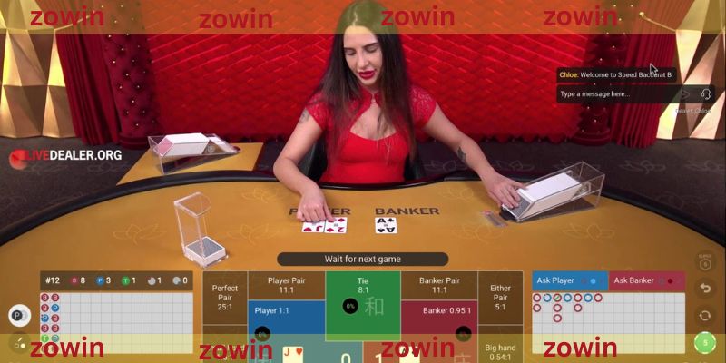 Live casino ZOWIN