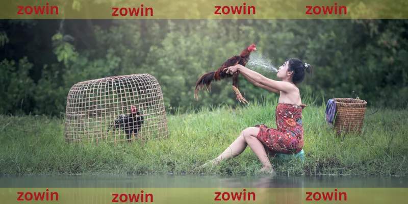 Vảy Liên Giáp